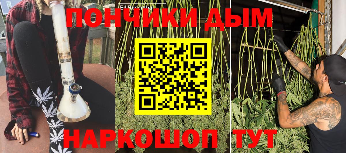 Бошки марихуана планчик  Каннабис план  Наро-Фоминск  Бошки Шишки AK-47 